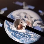 Elon Musk’s Starlink faces competition as China plans 15,000 satellites