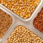 China raises grain production target to 700 million metric tons China raises grain production target to 700 million metric tons