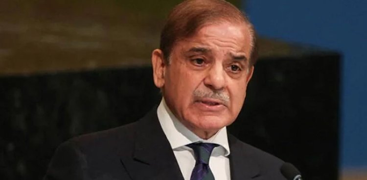 PM Shehbaz urges Afghanistan to eliminate terrorist safe havens PM Shehbaz urges Afghanistan to eliminate terrorist safe havens