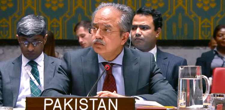 Gaza genocide must end, Pakistan tells world at UN Meeting