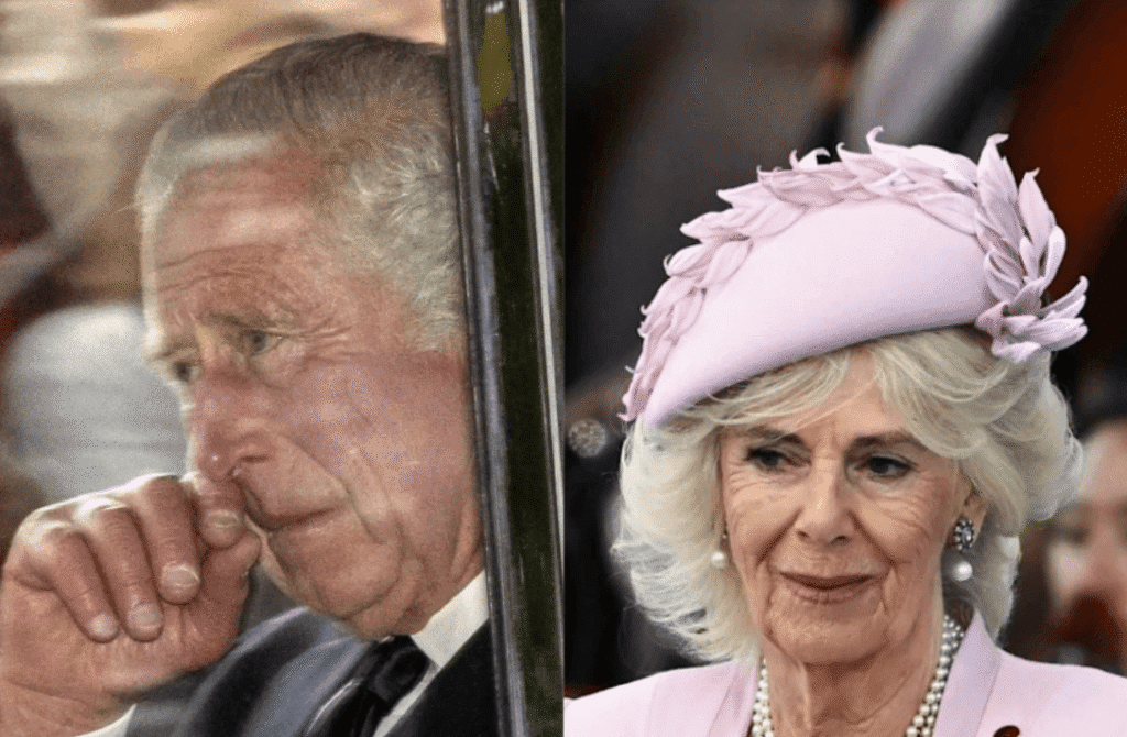 Buckingham Palace in Turmoil as Camilla Issues Ultimatum to King Charles Over Prince Harry