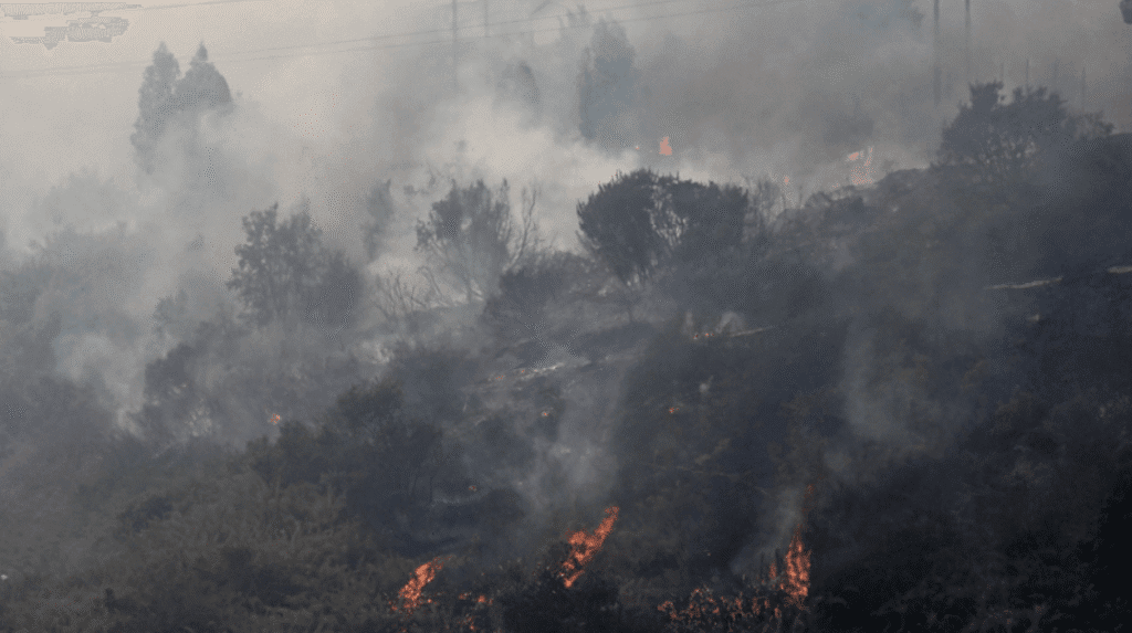 Firefighters Race to Control Rekindled Blaze in Margalla Hills Firefighters Race to Control Rekindled Blaze in Margalla Hills