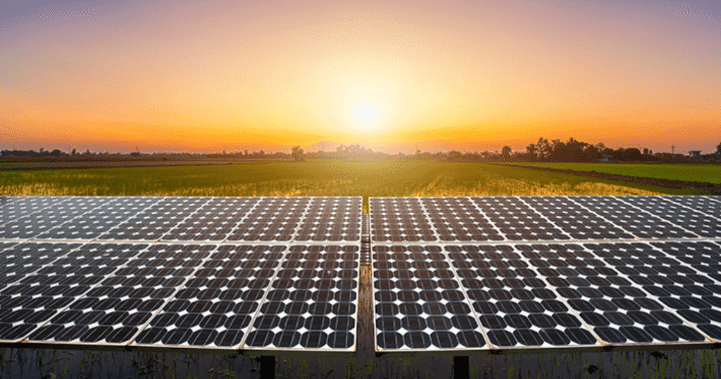 KP Faces Fresh Controversy Over Rs33 Billion Solar Project Amid Pricing and Tender Irregularities