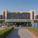 Bird-aircraft collisions at Jinnah Airport drop over 15% in 2024 Bird-aircraft collisions at Jinnah Airport drop over 15% in 2024