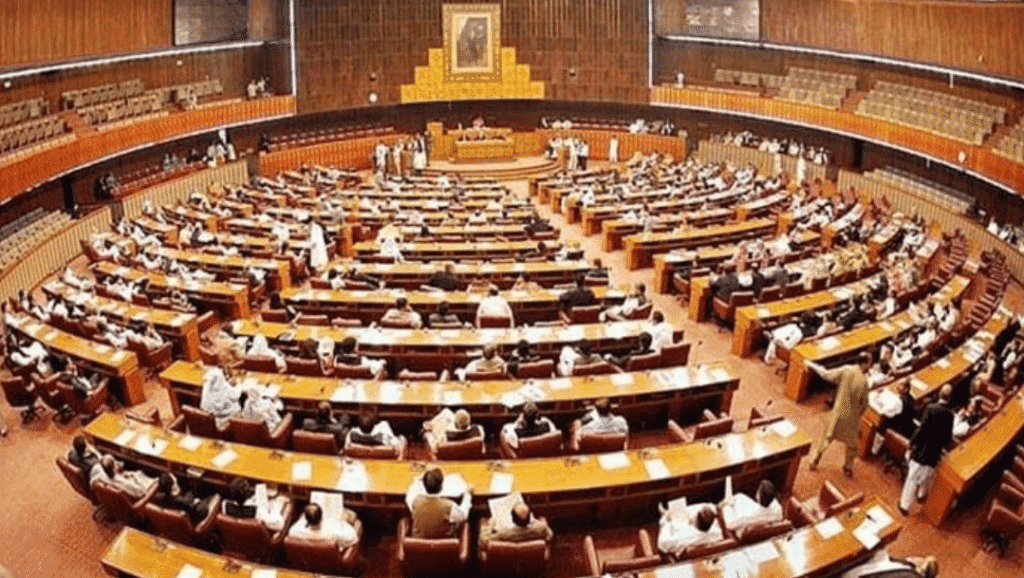 Senate Committee Examines Electronic Voting System for Overseas Pakistanis