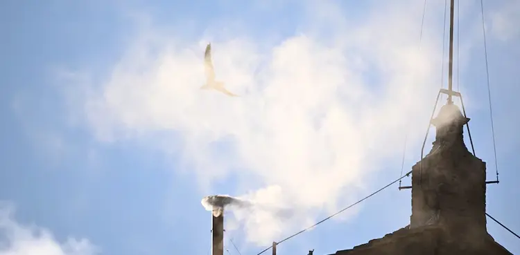 White smoke emerges, a new pope has been elected White smoke emerges, a new pope has been elected