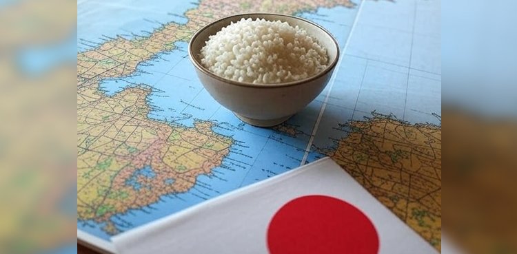 Japan rice auction 2025 starts to stabilise surge prices Japan rice auction 2025 starts to stabilise surge prices