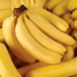 Pakistan banana output hits record 317,000 tonnes in 2024-25
