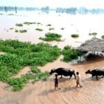 Bloomberg: Pakistan’s climate funding gap widens as monsoon death toll nears 900