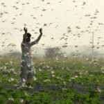 Agricultural credit surges 16% as Government pushes mechanization drive