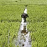 FCA reviews Kharif crop performance, sets targets for Rabi Season 2025–26 FCA reviews Kharif crop performance, sets targets for Rabi Season 2025–26