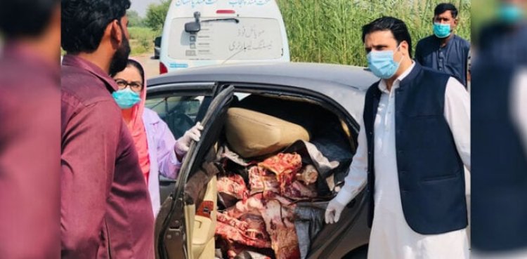 Punjab Food Authority, Sargodha, seizes 1,200 kg of unhygienic meat Punjab Food Authority, Sargodha, seizes 1,200 kg of unhygienic meat