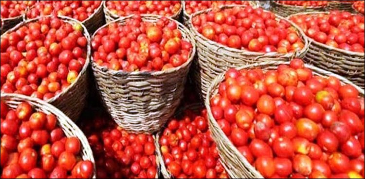 Tomato becomes a luxury item in Pakistan as Per Kg Price crosses Rs.500  Tomato becomes a luxury item in Pakistan as Per Kg Price crosses Rs.500