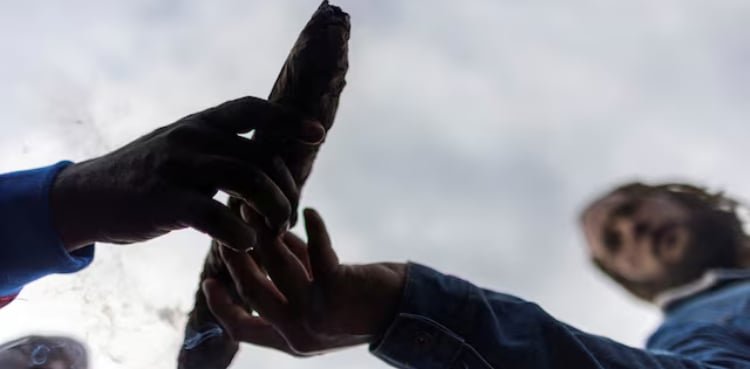 U.S. states where marijuana is legal