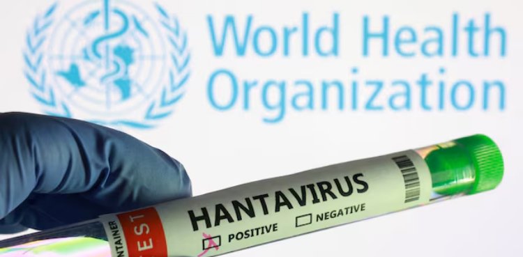 Experts race to write guidance to contain first ship-borne hantavirus outbreak