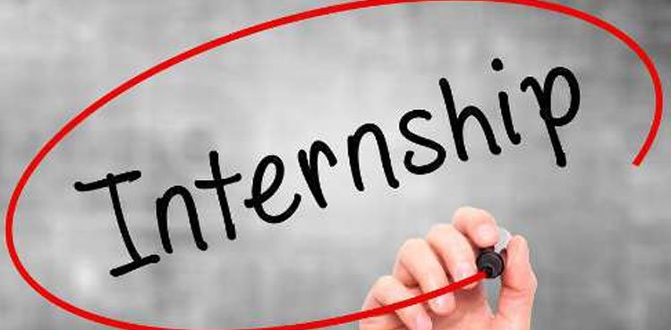 Punjab announces internship program for PharmD students