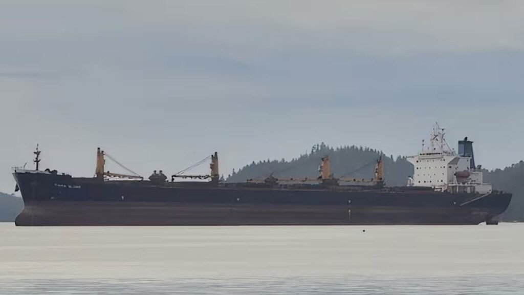 Two rescued after bulk carrier sinks off India
